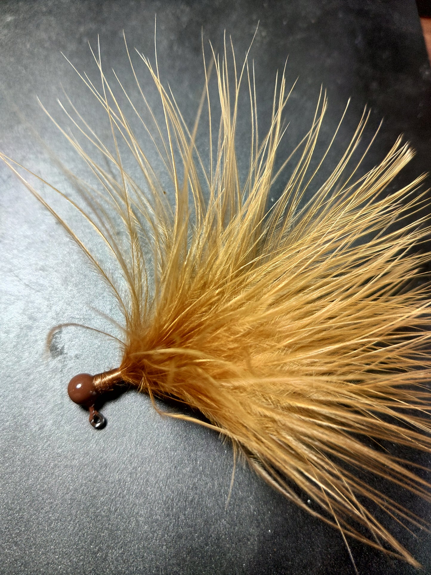 Ginger 3PK