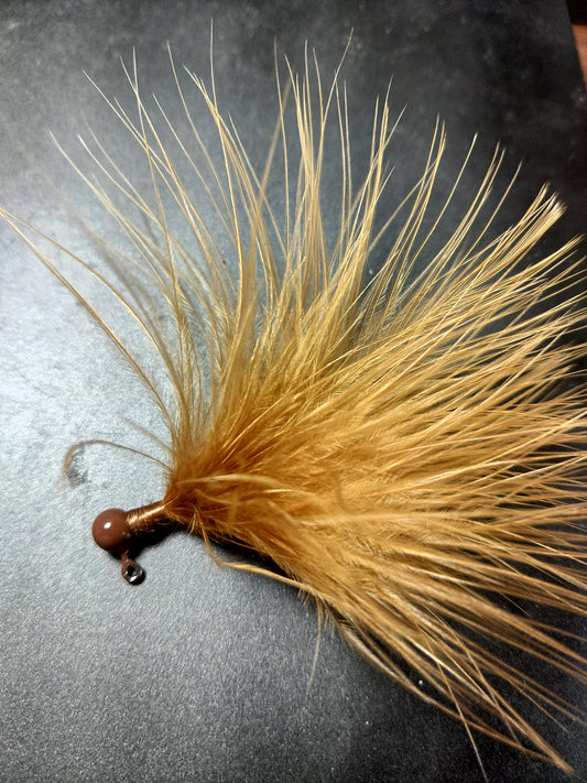 Ginger 3PK