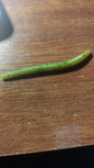 Rockin P Trout Worm