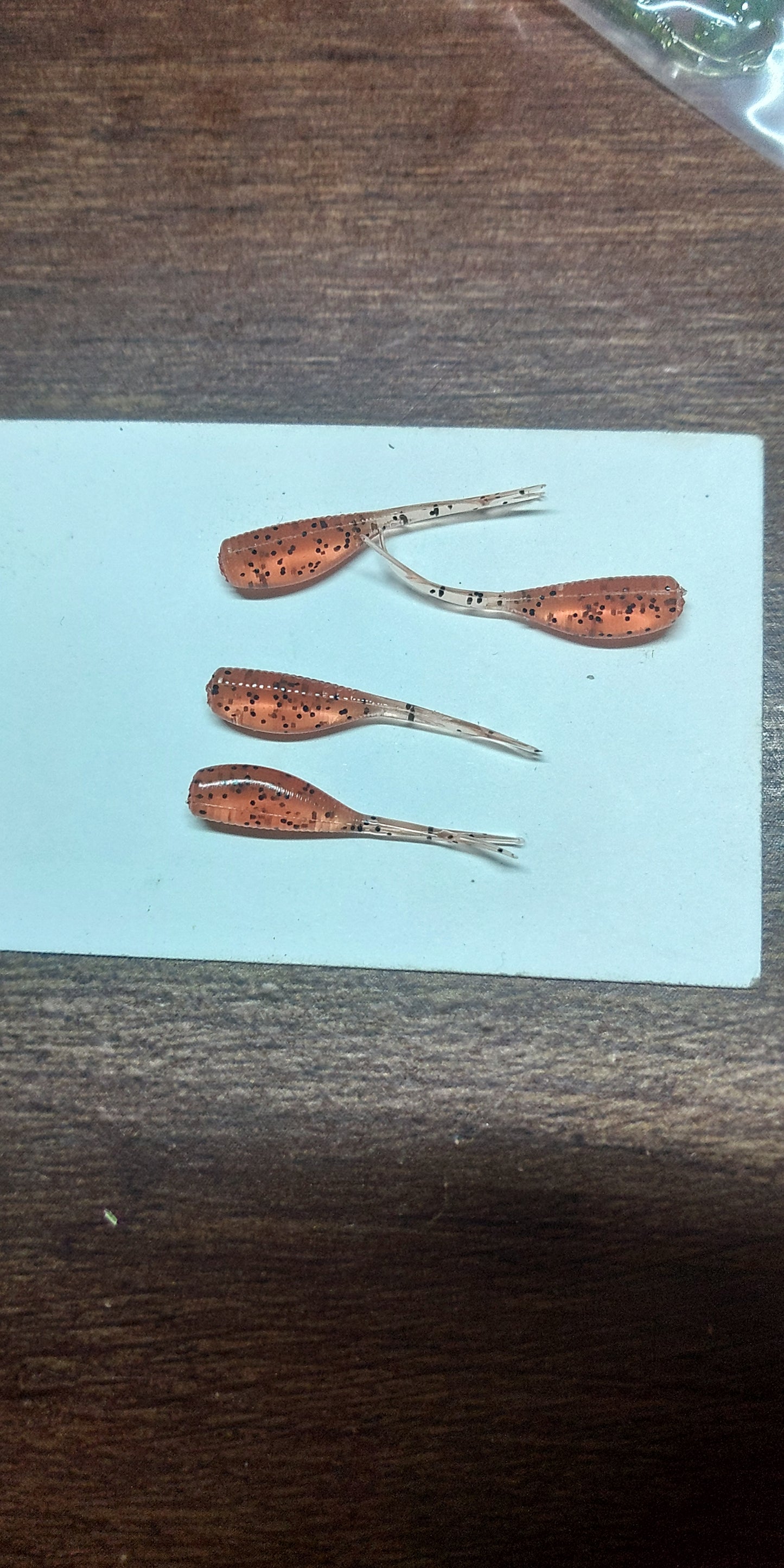 1.2" Prairie Minnow Series