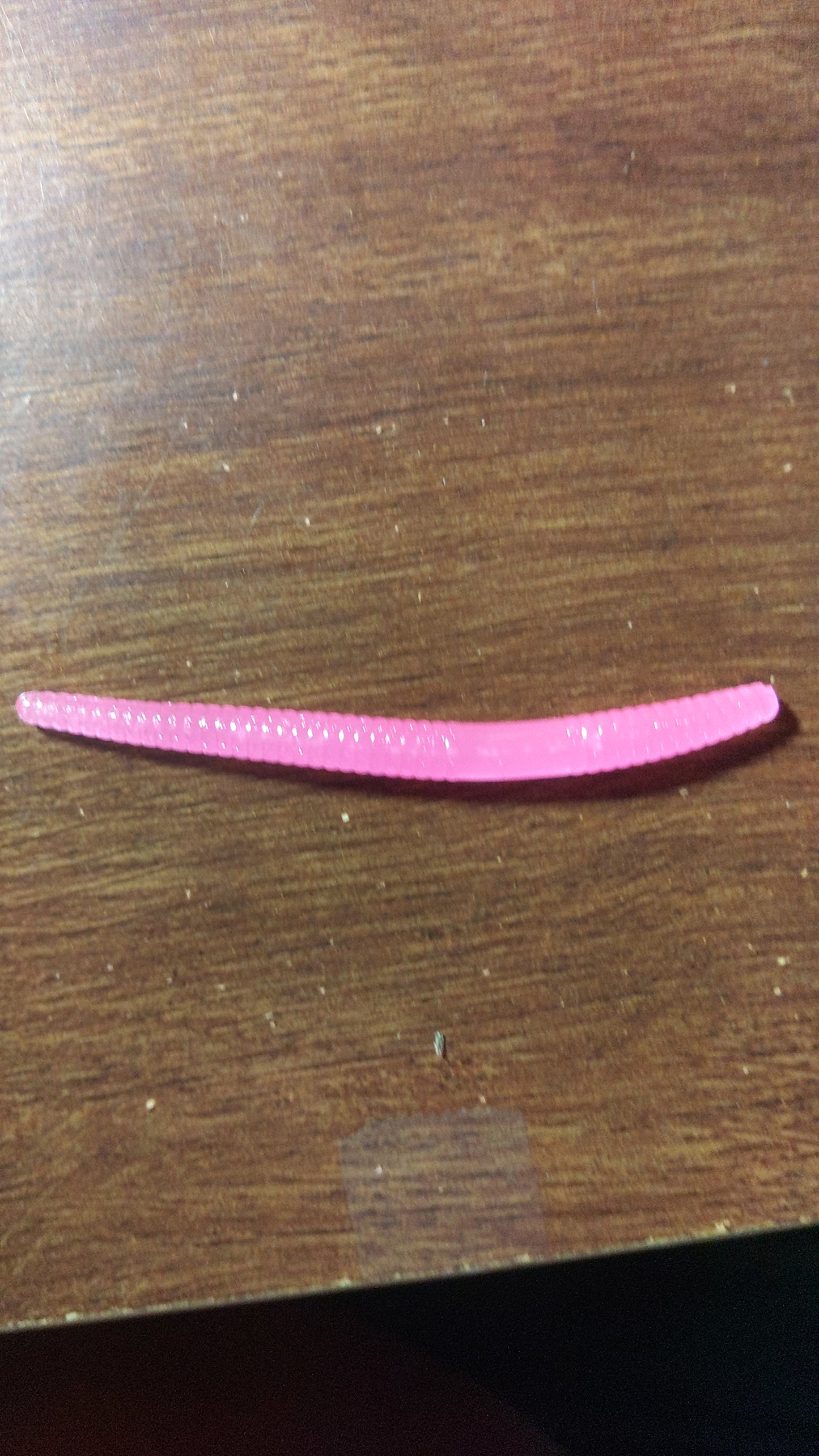 Rockin P Trout Worm