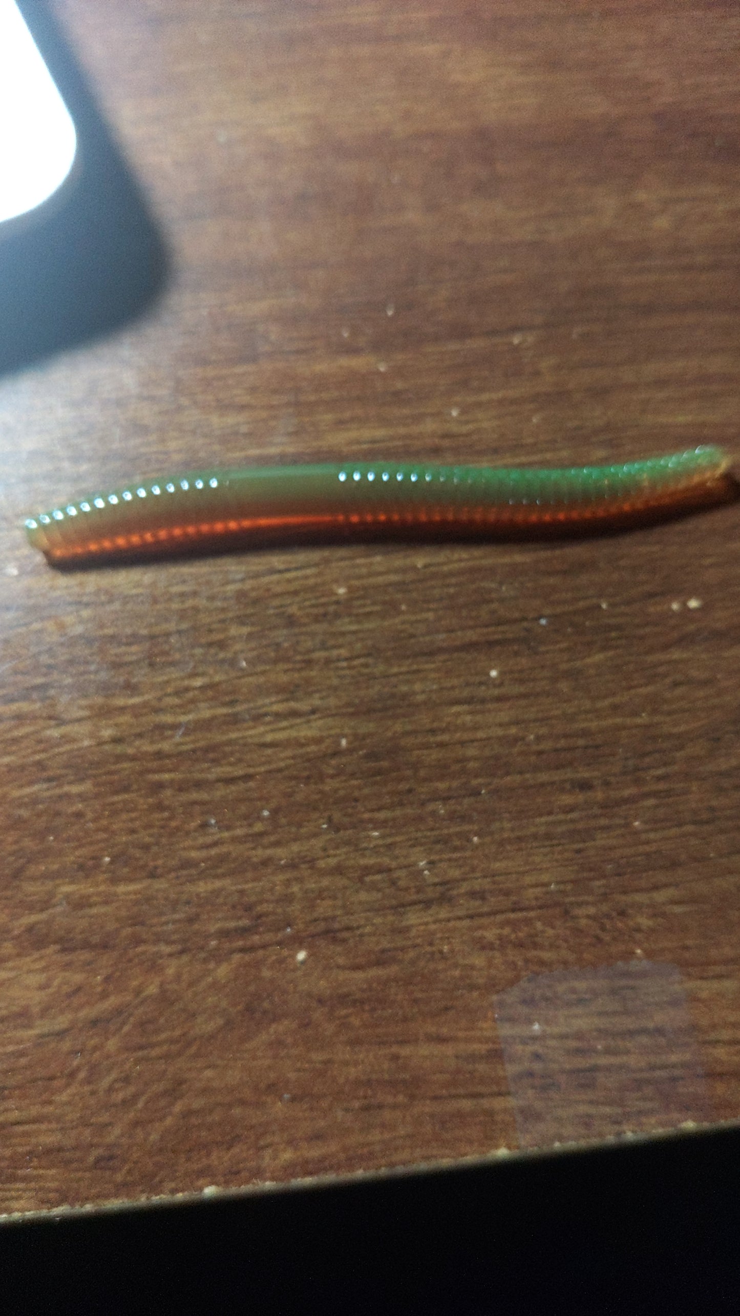 Rockin P Trout Worm