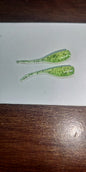 1.2" Prairie Minnow Series